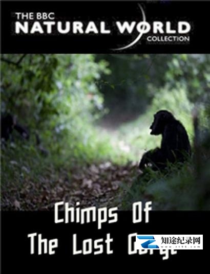 [BBC]失落峡谷的黑猩猩 The Natural World: Chimps of the Lost Gorge-知途纪录片网盘资源下载