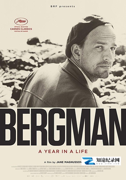 伯格曼:人生中的那一年 / Bergman: A Year in a Life