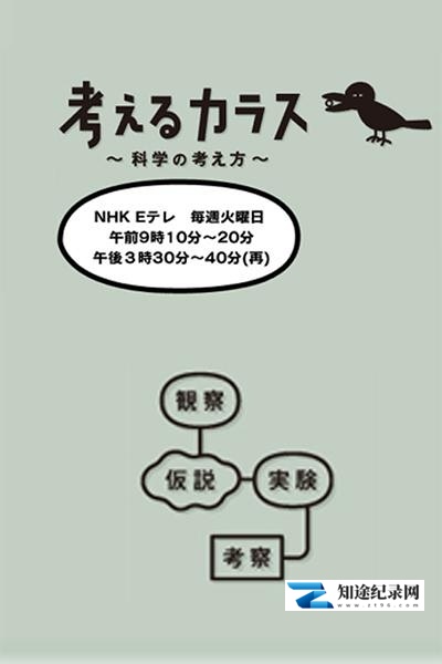[NHK]像乌鸦一样思考 考えるカラス ～科学の考え方～-知途纪录片网盘资源下载
