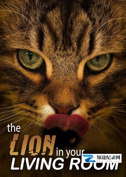 [其他]家里的狮子  The Lion in Your Living Room-知途纪录片网盘资源下载