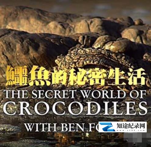 [其他]鳄鱼的秘密生活 The Secret Life of Crocodiles With Ben Fogle-知途纪录片网盘资源下载