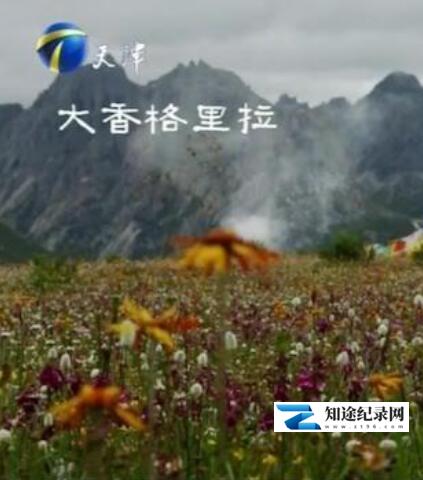 大香格里拉 / 大香格里拉