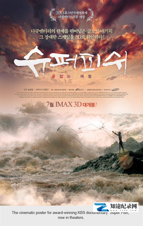 超级鱼 / Super Fish