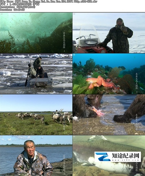 [KBS]东亚生态大勘探：阿穆尔河 동아시아 생명대탐사 아무르-知途纪录片网盘资源下载