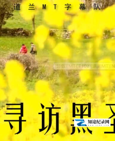 [NHK]巡礼之路 寻访黑圣母 巡礼之路 寻访黑圣母-知途纪录片网盘资源下载