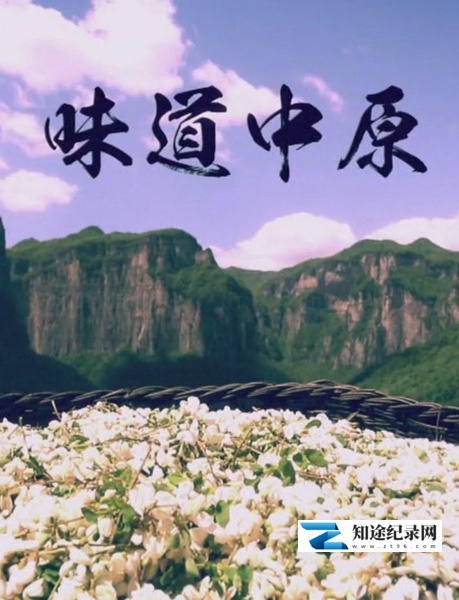 [CCTV]味道中原 味道中原-知途纪录片网盘资源下载
