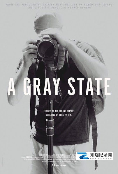 灰色国度 / A Gray State