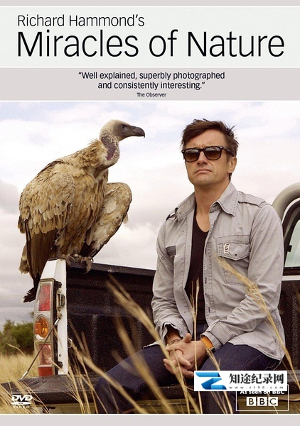 [BBC]大自然的奇迹 Richard Hammond's Miracles of Nature / 自然界的天才-知途纪录片网盘资源下载