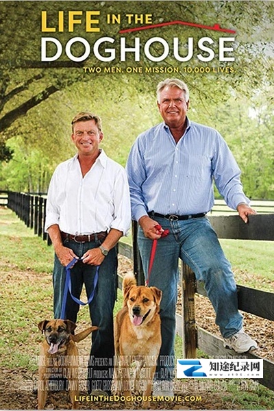 同一汪檐下 / Life in the Doghouse / 拯救狗狗二人组