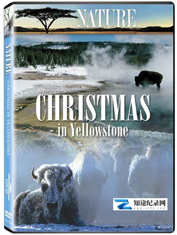 [PBS]黄石的圣诞 Nature Christmas in Yellowstone-知途纪录片网盘资源下载