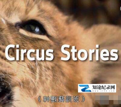 神兽艺训班 / Circus Stories