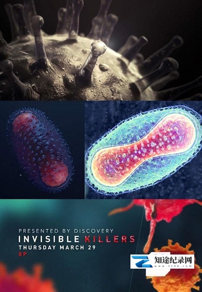 [Discovery]杀手病毒 Invisible Killers / 隐形杀手-知途纪录片网盘资源下载