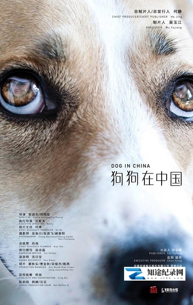 [其他]狗狗在中国 dogs in china-知途纪录片网盘资源下载
