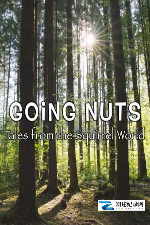 [其他]痴迷坚果：松鼠世界传奇 Going Nuts Tales from Squirrel World-知途纪录片网盘资源下载
