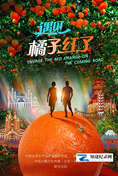 [其他]遇见·橘子红了 遇见·橘子红了-知途纪录片网盘资源下载