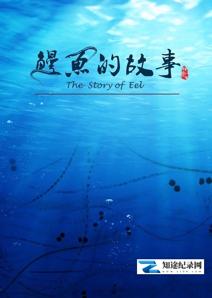 [其他]鳗鱼的故事  The Story of Eel-知途纪录片网盘资源下载