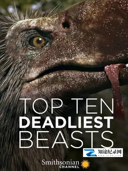 [其他]十大致命的捕食者 Top Ten Deadliest Beasts-知途纪录片网盘资源下载