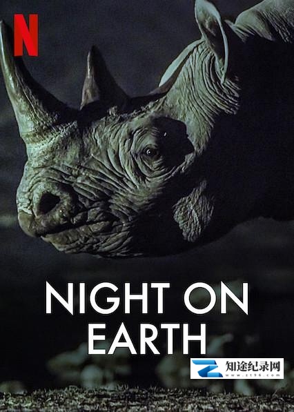 [Netflix]地球的夜晚 Night on Earth-知途纪录片网盘资源下载