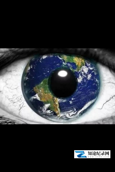 我们所处的谎言世界 / the lie we live