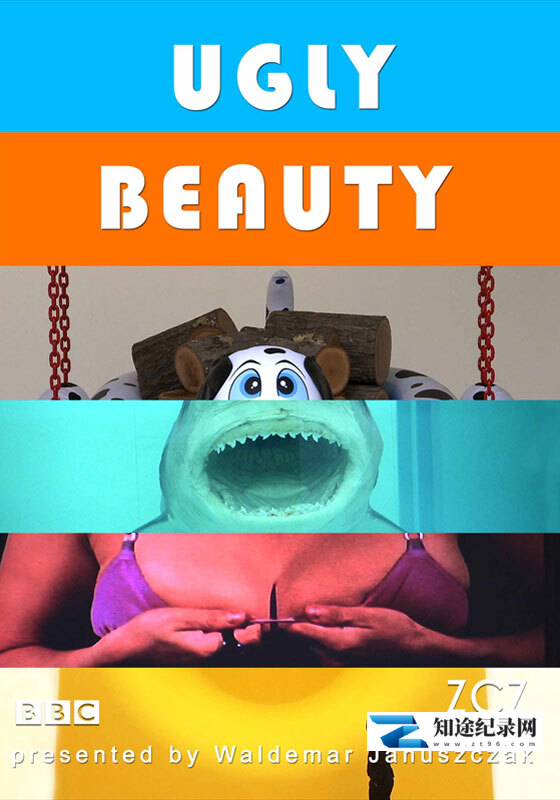 丑陋的美丽 / Ugly Beauty