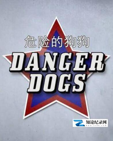 [其他]危险的狗狗 Danger Dogs-知途纪录片网盘资源下载