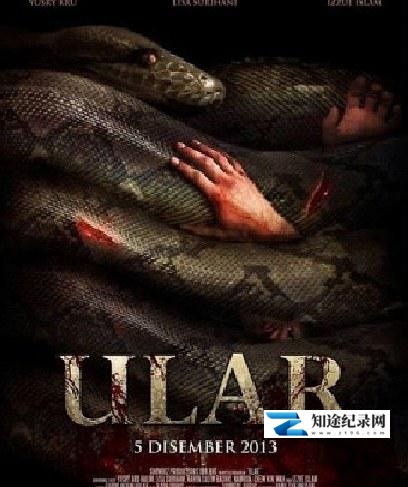 [CCTV]毒蛇岛 Ular-知途纪录片网盘资源下载