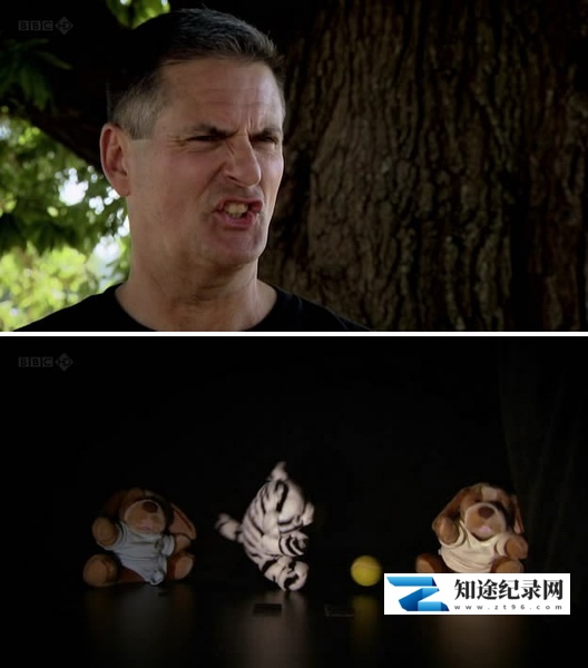 [BBC]善恶溯源 Are You Good or Evil? / 你是好的还是坏的-知途纪录片网盘资源下载