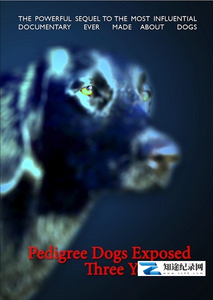 [BBC]纯种狗的悲哀 Pedigree Dogs Exposed-知途纪录片网盘资源下载