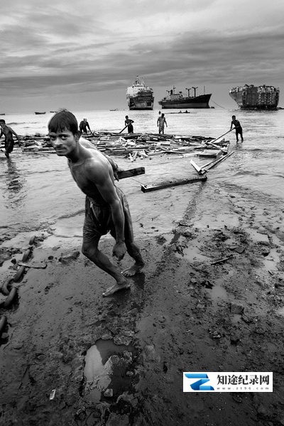 [其他]铁乌鸦 Iron Crows-知途纪录片网盘资源下载