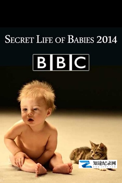 [BBC]婴儿的秘密生活 Secret Life of Babies-知途纪录片网盘资源下载