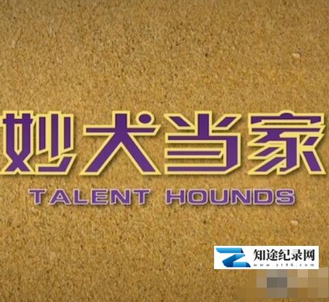 妙犬当家 / Talent Hounds
