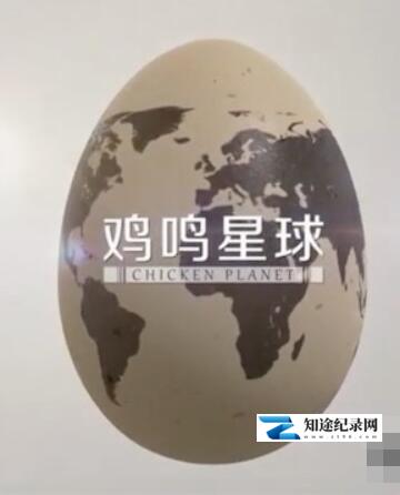 [CCTV]鸡鸣星球 Chicken Planet-知途纪录片网盘资源下载