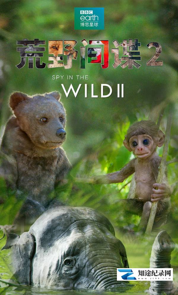 [BBC]荒野间谍 第二季 The Tropics Season 2-知途纪录片网盘资源下载