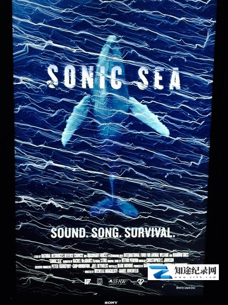 [Discovery]噪音海洋 Sonic Sea-知途纪录片网盘资源下载