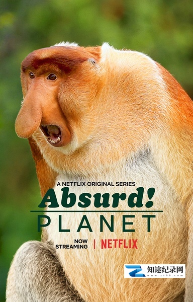 [Netflix]怪诞星球 Absurd Planet-知途纪录片网盘资源下载