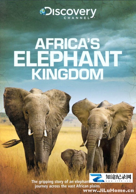 [Discovery]非洲的大象王国 Africa’s Elephant Kingdom-知途纪录片网盘资源下载