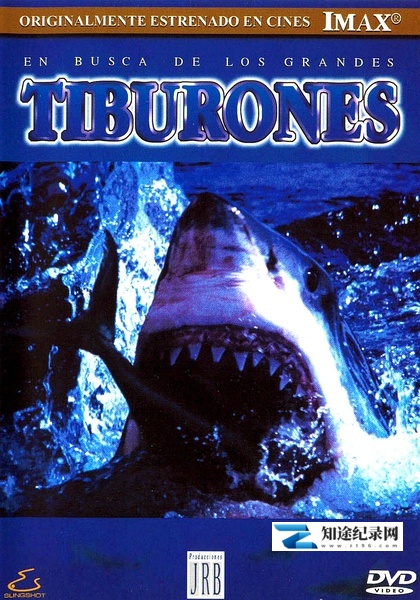 [IMAX]寻鲨记 Search for the Great Sharks / 鲨鱼探索-知途纪录片网盘资源下载