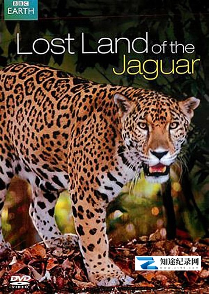 [BBC]美洲豹的失落之地 Lost Land of the Jaguar-知途纪录片网盘资源下载