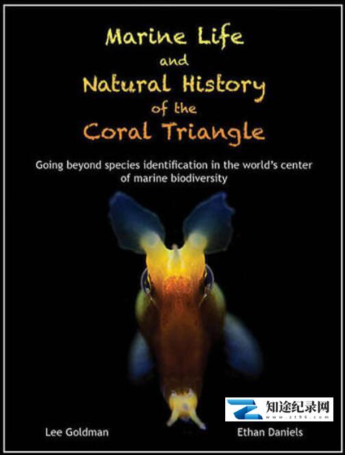 [Discovery]珊瑚大三角 The Coral Triangle-知途纪录片网盘资源下载