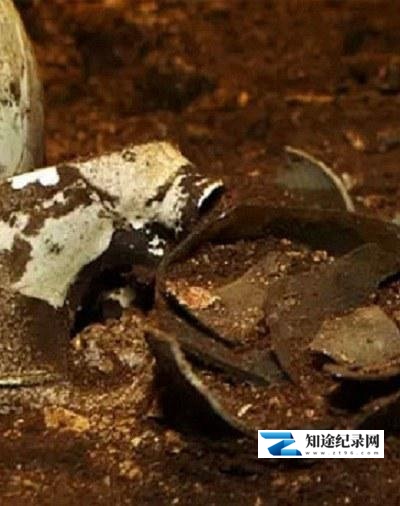 [CCTV]2019考古进行时 2019考古进行时-知途纪录片网盘资源下载