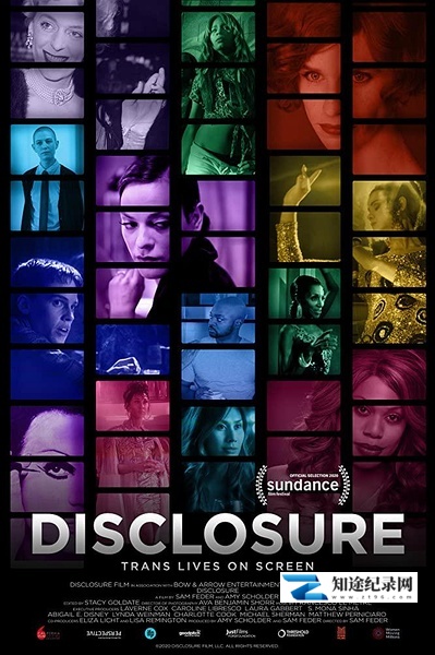 [其他]揭开面纱：好莱坞的跨性别人生 Disclosure: Trans Lives on Screen-知途纪录片网盘资源下载
