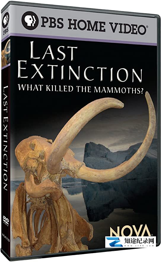 [PBS]猛犸大灭绝 Last Extinction-知途纪录片网盘资源下载