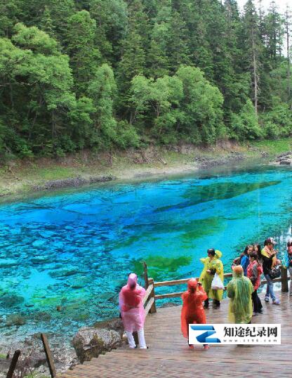 [其他]实境之旅-九寨沟 Virtual Trip: JiuZhaiGou-知途纪录片网盘资源下载