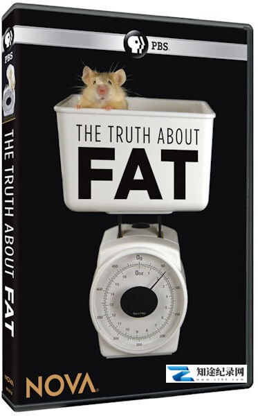 [PBS]脂肪的真相 The Truth About Fat-知途纪录片网盘资源下载