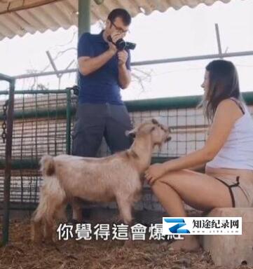 [其他]打造爆红影片方式 打造爆红影片方式-知途纪录片网盘资源下载