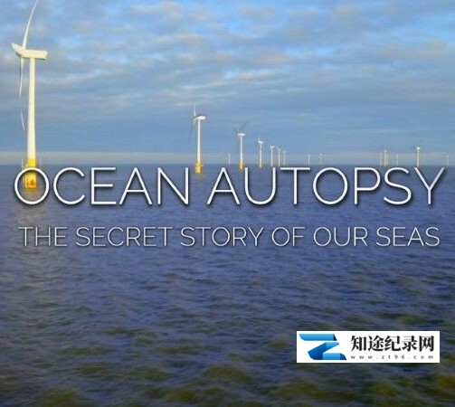 [BBC]解剖海洋：我们海洋的秘密 Ocean Autopsy: The Secret Story of Our Seas-知途纪录片网盘资源下载