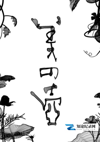 [NHK]美之壶 中国60分钟番外篇 汉字三千年 美之壶-知途纪录片网盘资源下载