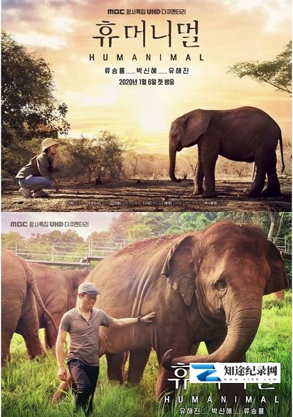 [KBS]人类-动物 휴머니멀 / Humanimal-知途纪录片网盘资源下载