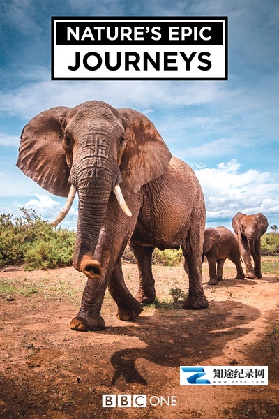 [其他]自然史诗之旅 Nature's Epic Journeys-知途纪录片网盘资源下载