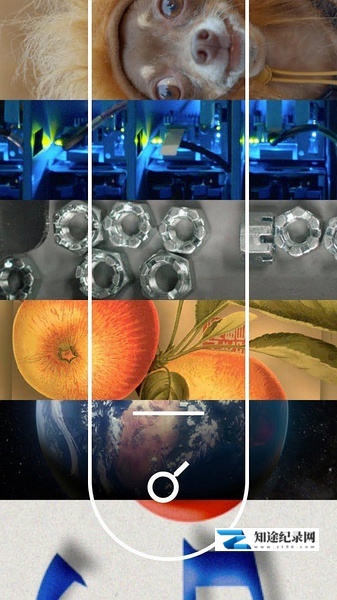 [其他]谷歌搜索：居大不易 Trillions of Questions, No Easy Answers-知途纪录片网盘资源下载